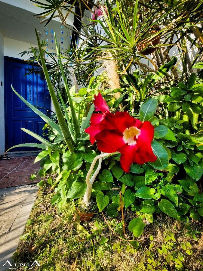 Appartamento Tu Casa En El Caribe Cancún Esterno foto