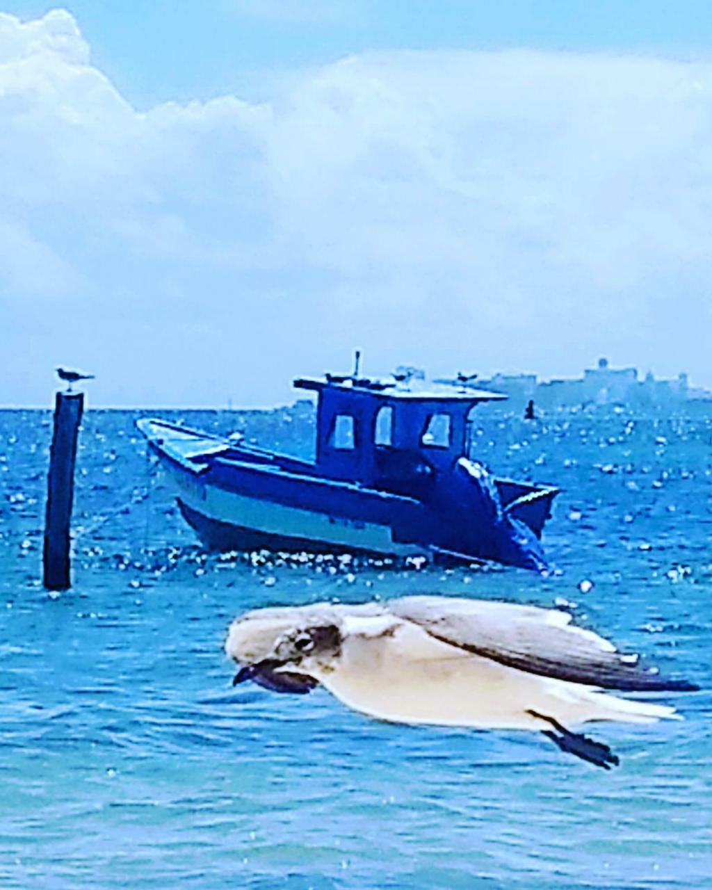 Appartamento Tu Casa En El Caribe Cancún Esterno foto